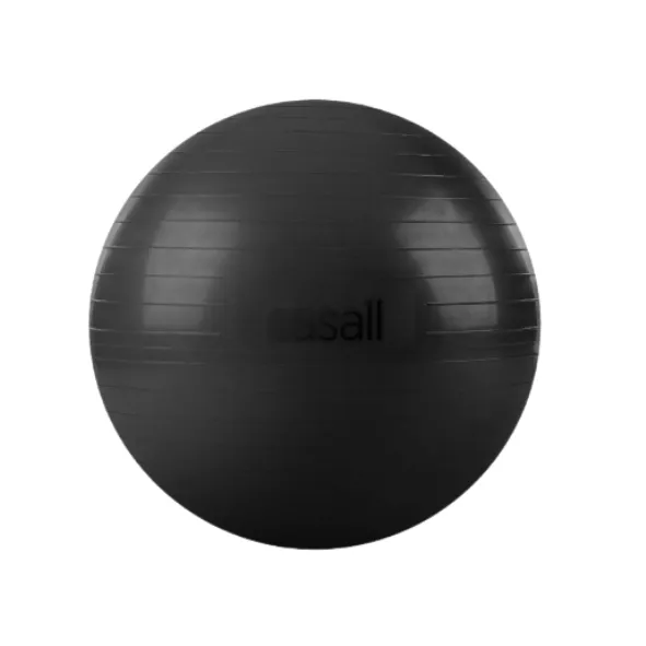 Casall Exercise Ball 60-65 cm, Sort